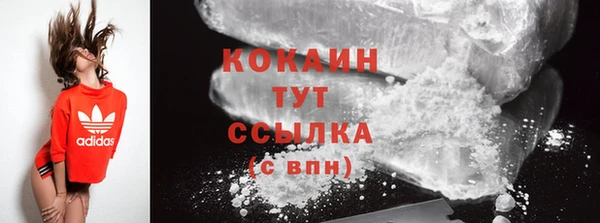 ГАЛЛЮЦИНОГЕННЫЕ ГРИБЫ Белоозёрский