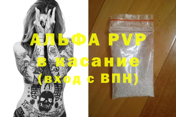 ECSTASY Богородицк