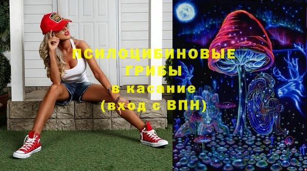 ГАЛЛЮЦИНОГЕННЫЕ ГРИБЫ Белоозёрский