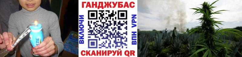 где можно купить   Гулькевичи  МАРИХУАНА сатива 